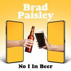 Brad Paisley - No I In Beer (CDS)