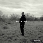 Black Dog (CDS)