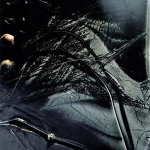 Le Manteau D'étoiles