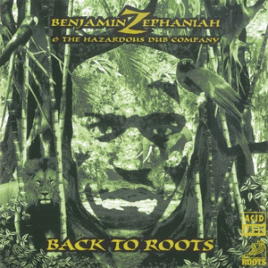 Back To Roots (With The Hazardous Dub Company)