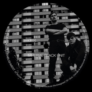 Murder Under Establishment (EP)