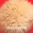 Nurmagomedow (EP)