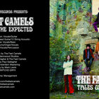The Fast Camels - Tales Of The Expected