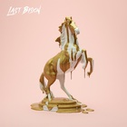 The Last Bison - Süda (Vinyl)
