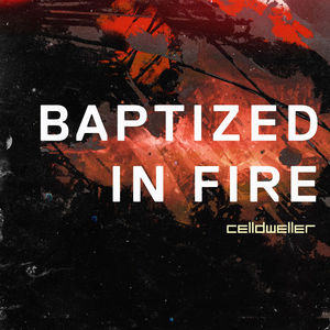 Baptized In Fire (CDS)