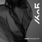 Ravaged (EP)
