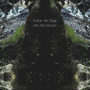Into The Bloom
