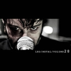 Leo Moracchioli - Metal Covers Volume 28