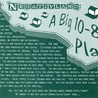 Negativland - A Big 10-8 Place