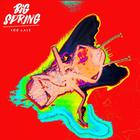 Big Spring - Too Late (CDS)