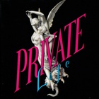 Private Life - Private Life