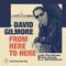 David Gilmore - From Here To Here
