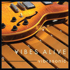 Vibes Alive - Vibrasonic