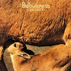 Louis Chedid - Balbutiements (Vinyl)