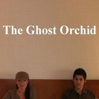 The Ghost Orchid - Untitled