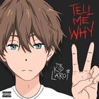 Tell Me Why (CDS)