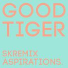 Good Tiger - Aspirations (CDS)