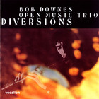 Diversions (Vinyl)