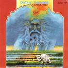 Checkfield - Distant Thunder (Vinyl)