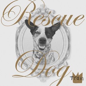Rescue Dog (CDS)