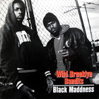 Black Maddness - Wild Brooklyn Bandits (CDS)