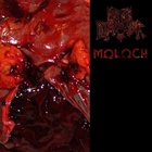 Meth Drinker / Moloch