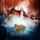 Live At De Bosuil