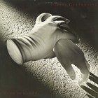 Terry Garthwaite - Hand In Glove (Vinyl)