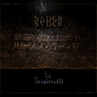 Nader Sadek - The Serapeum