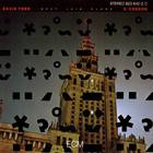 David Torn - Best Laid Plans (With Geoffrey Gordon) (Vinyl)