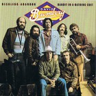 David Bromberg Band - Reckless Abandon / Bandit In A Bathing Suit