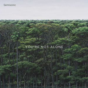 You're Not Alone (CDS)