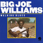 Big Joe Williams - Walking Blues (Vinyl)