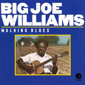 Walking Blues (Vinyl)
