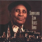 Sunnyland Slim - Chicago Jump