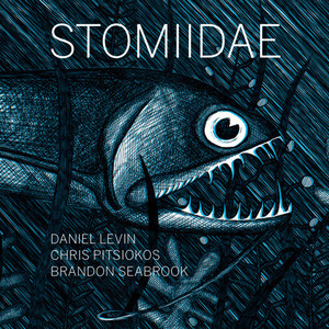 Stomiidae (With Chris Pitsiokos & Brandon Seabrook)