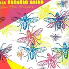 The Beatnik Flies - From Parts Unknown (Vinyl)