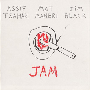 Jam (With Mat Maneri & Jim Black)