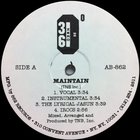 The Troubleneck Brothers - Maintain