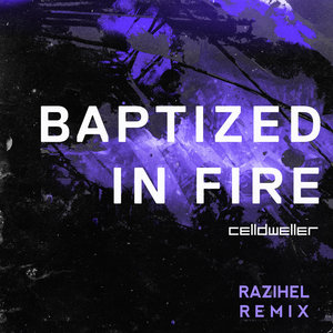 Baptized In Fire (Razihel Remix) (CDS)