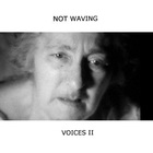 Not Waving - Voices II