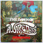 The Dawn Of Awareness (Vinyl)