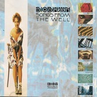 Siobhan - Songs From The Well
