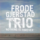 Frode Gjerstad - Nothing Is Forever