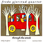 Frode Gjerstad - Through The Woods