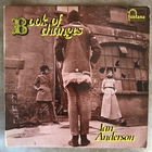 Ian A. Anderson - Book Of Changes (Vinyl)