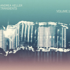 Transients Vol. 1