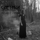 Caethua - The Summer Is Over Before It's Begun