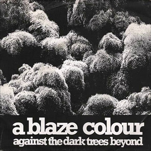 Against The Dark Trees Beyond (VLS)