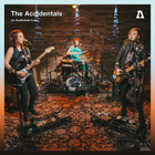 The Accidentals On Audiotree Live